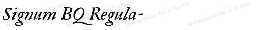 Signum BQ Regula字体转换